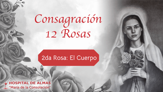 Rosa 2