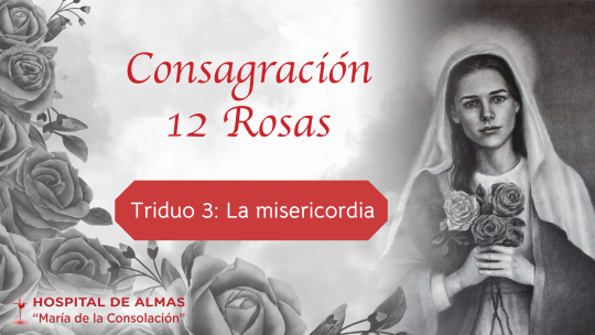12 Rosas